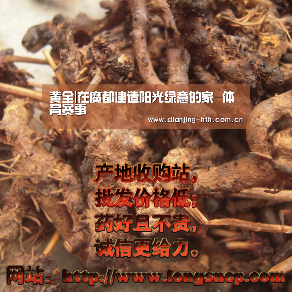 华体会官网