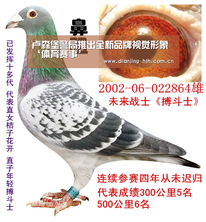 卢森堡警局推出全新品牌视觉形象‘体育赛事’(图4)