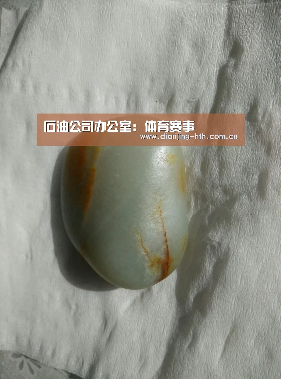 华体会官网