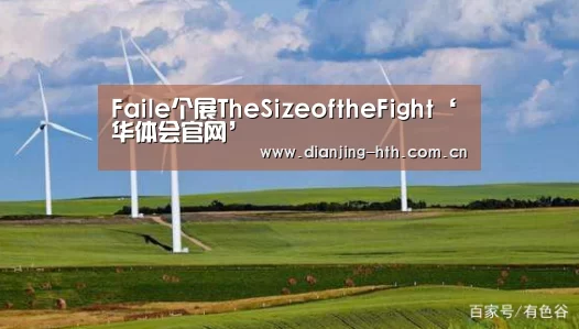 Faile个展TheSizeoftheFight‘华体会官网’(图3) 华体会官网
