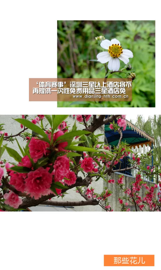 华体会官网
